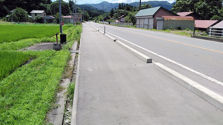 道路の雑草の成長を抑制する防草技術とは～防草ブロックや防草タイトはどうやって生まれたのか～|坂内セメント工業所