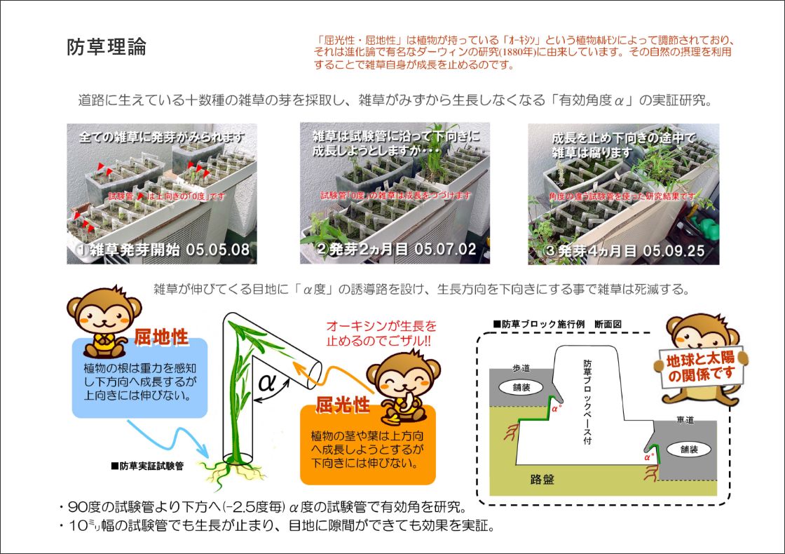 防草理論 「屈光性・屈地性」は植物が持っている「オーキシン」という植物ホルモンによって調整されており、それは進化論で有名なダーウィンの研究（1880年）に由来しています。その自然の摂理を利用することで雑草自身が成長を止めるのです。