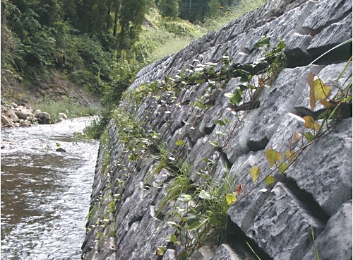 竜陣・植生竜陣 （環境保全型ブロック）