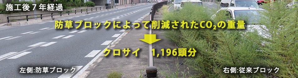 施工後7年経過 防草ブロックによって削減されたCO2の重量クロサイ1,042頭分 左側：防草ブロック 右側：従来ブロック